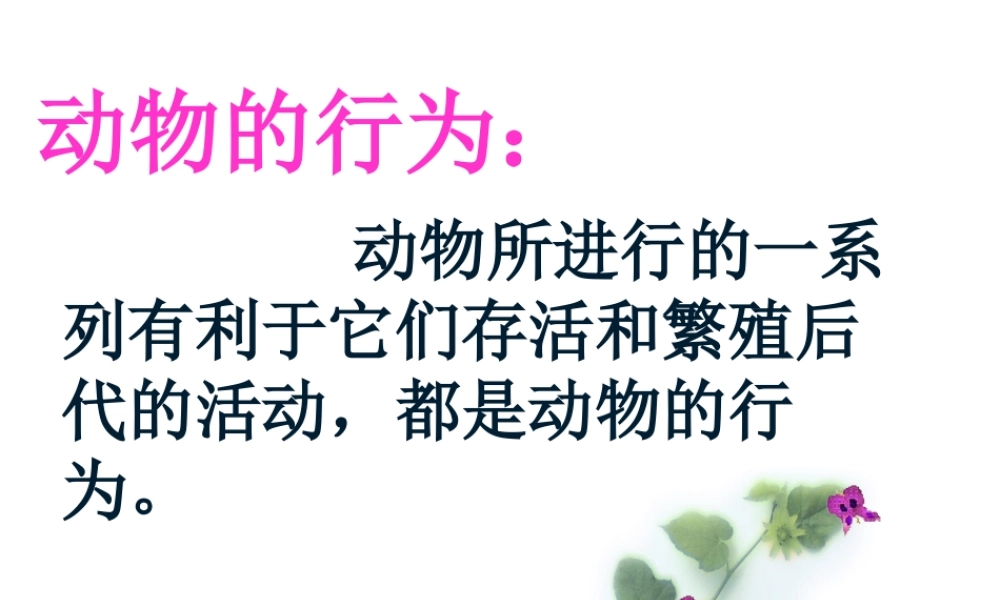 八年级生物上册 第七单元 第二章 第二节 先天性行为和学习行为课件 鲁科版五四制-鲁科级上册生物课件
