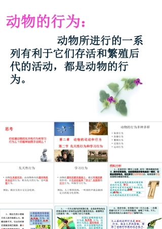 八年级生物上册 第七单元 第二章 第二节 先天性行为和学习行为课件 鲁科版五四制-鲁科级上册生物课件