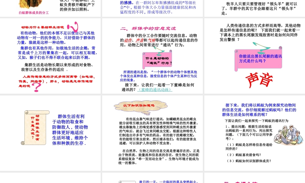 八年级生物上册 第5单元 第2章 动物的运动和行为 第三节 社会行为课件1 新人教版