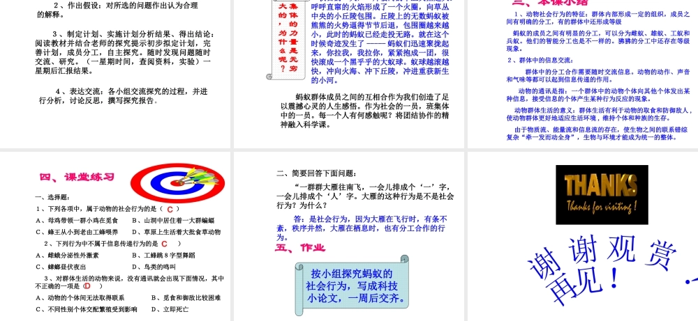 八年级生物上册 第5单元 第2章 动物的运动和行为 第三节 社会行为课件1 新人教版