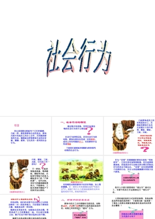 八年级生物上册 第5单元 第2章 动物的运动和行为 第三节 社会行为课件1 新人教版
