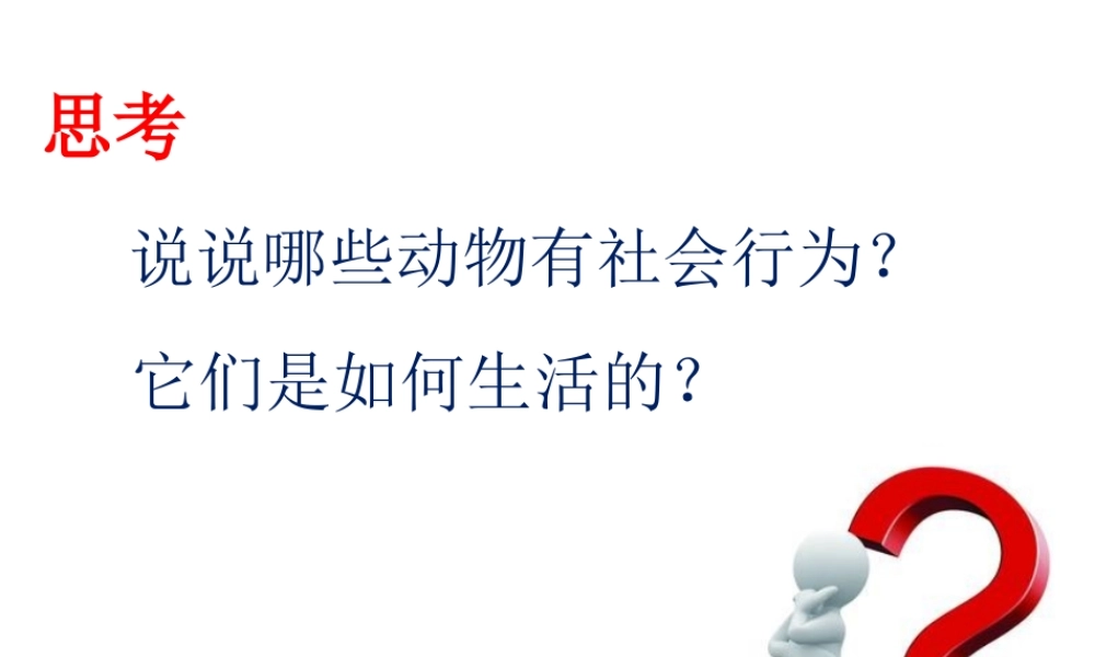八年级生物上册 第七单元 第二章 第三节 社会行为课件 鲁科版五四制-鲁科版初中八年级上册生物课件