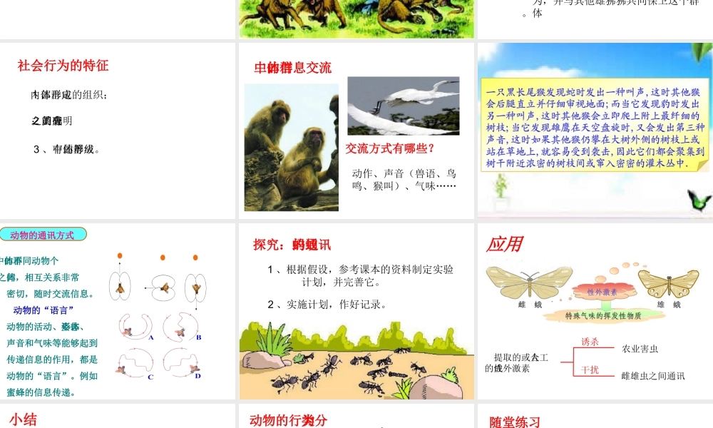 八年级生物上册 第七单元 第二章 第三节 社会行为课件 鲁科版五四制-鲁科版初中八年级上册生物课件