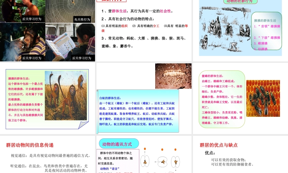 八年级生物上册 第九章 第二节 动物的行为课件 （新版）北京版-北京版初中八年级上册生物课件