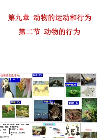 八年级生物上册 第九章 第二节 动物的行为课件 （新版）北京版-北京版初中八年级上册生物课件