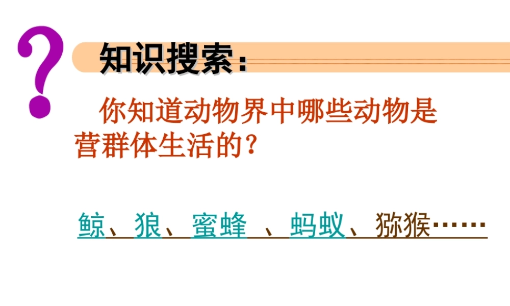 八年级生物上册 第5单元 第2章 动物的运动和行为 第三节 社会行为课件2 新人教版
