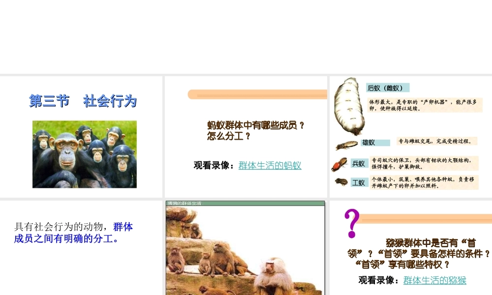 八年级生物上册 第5单元 第2章 动物的运动和行为 第三节 社会行为课件2 新人教版