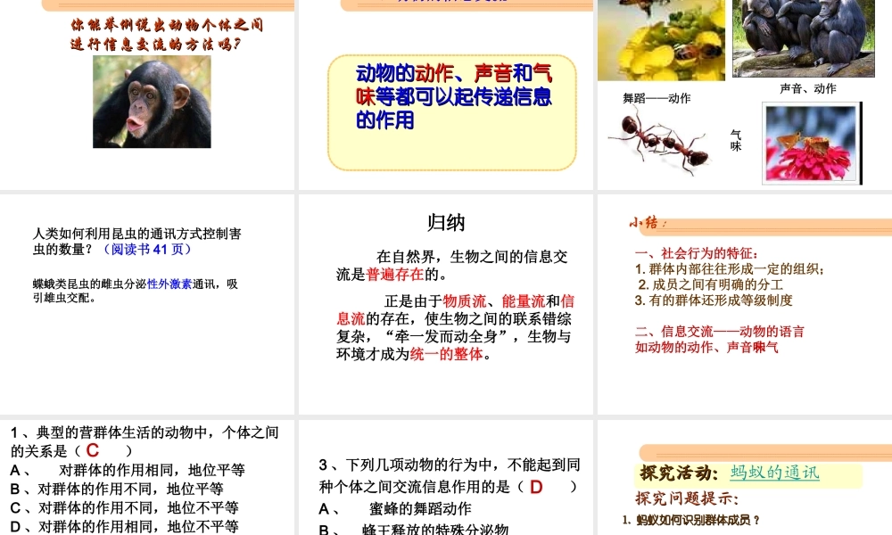 八年级生物上册 第5单元 第2章 动物的运动和行为 第三节 社会行为课件2 新人教版