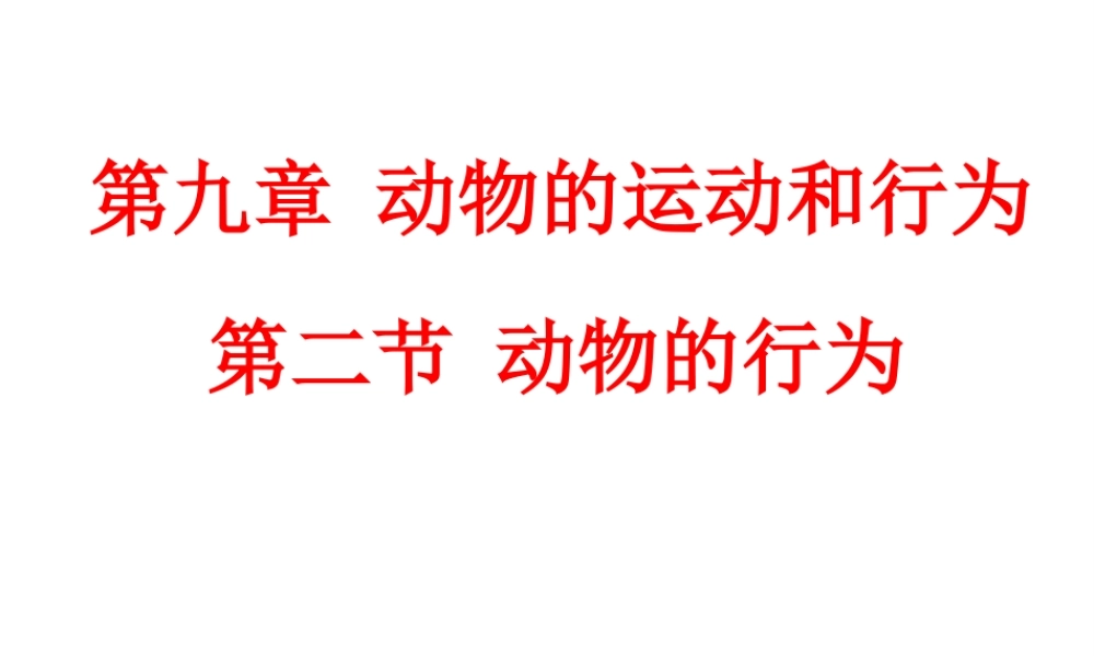 八年级生物上册 第九章 第二节 动物的行为课件 （新版）北京版-北京级上册生物课件