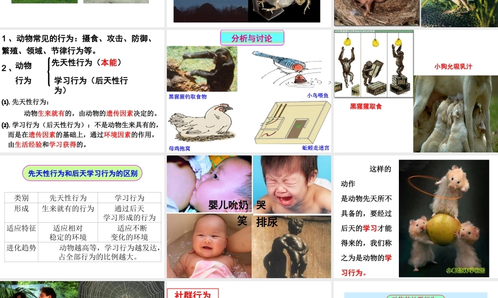 八年级生物上册 第九章 第二节 动物的行为课件 （新版）北京版-北京级上册生物课件