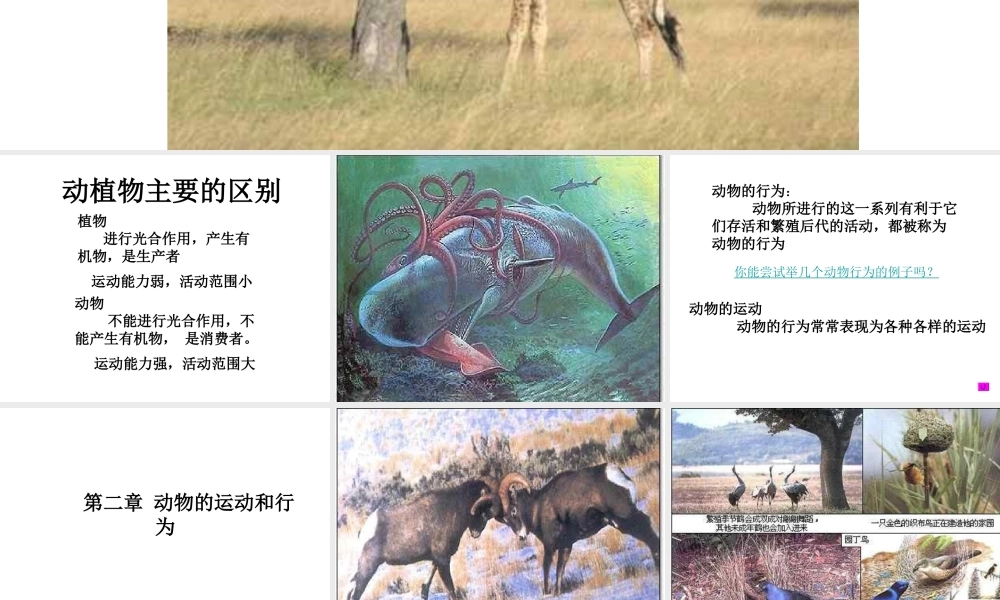 八年级生物上册 第5单元 第2章 动物的运动和行为 第一节 动物的运动课件1 新人教版