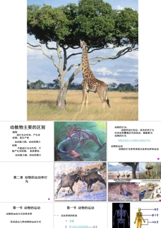 八年级生物上册 第5单元 第2章 动物的运动和行为 第一节 动物的运动课件1 新人教版