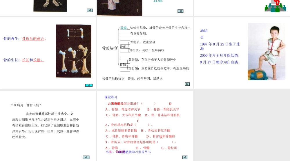 八年级生物上册 第5单元 第2章 动物的运动和行为 第一节 动物的运动课件2 新人教版