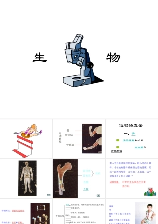 八年级生物上册 第5单元 第2章 动物的运动和行为 第一节 动物的运动课件2 新人教版