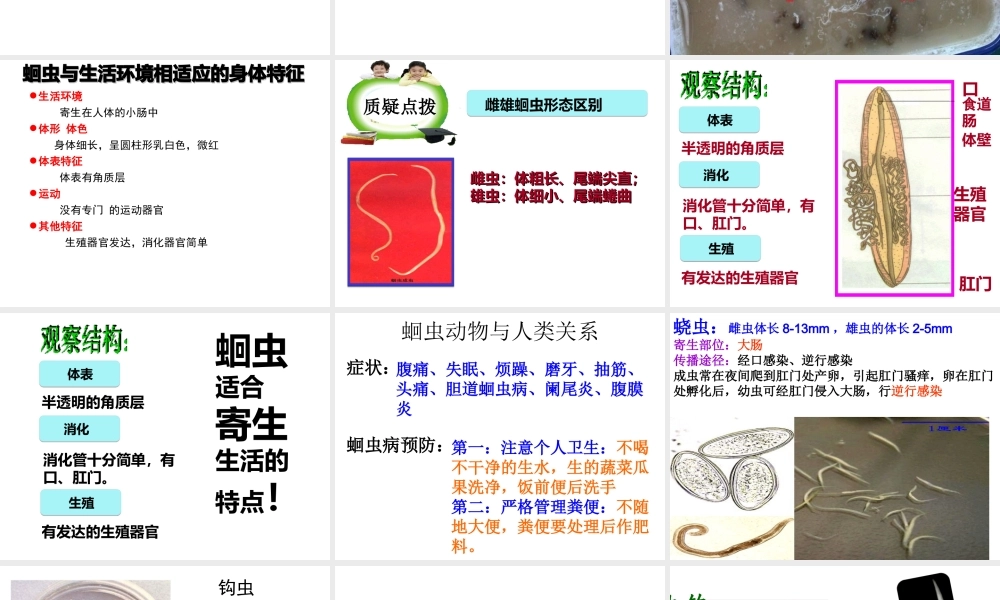 八年级生物上册 第五单元 第一章 第二节 线形动物和环节动物课件1 （新版）新人教版