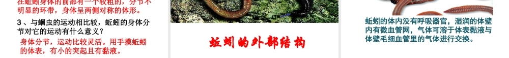 八年级生物上册 第五单元 第一章 第二节 线形动物和环节动物课件1 （新版）新人教版