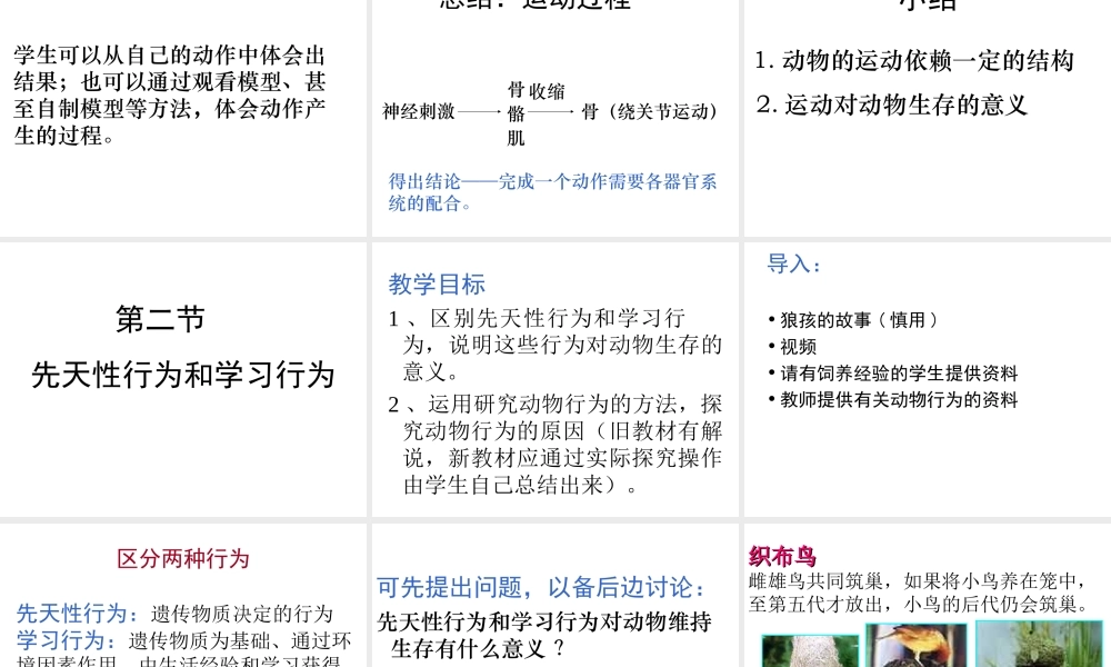 八年级生物上册 第5单元 第2章 动物的运动和行为整章课件 新人教版