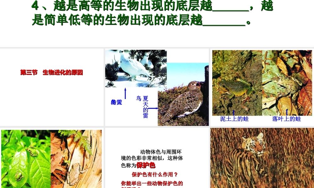 八年级生物上册 第七单元 第三章 第三节 生物进化的原因课件 新人教版