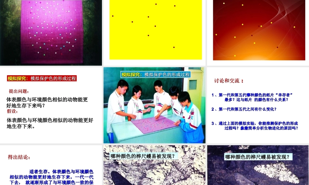 八年级生物上册 第七单元 第三章 第三节 生物进化的原因课件 新人教版