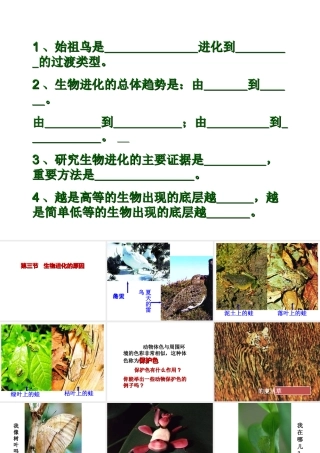 八年级生物上册 第七单元 第三章 第三节 生物进化的原因课件 新人教版