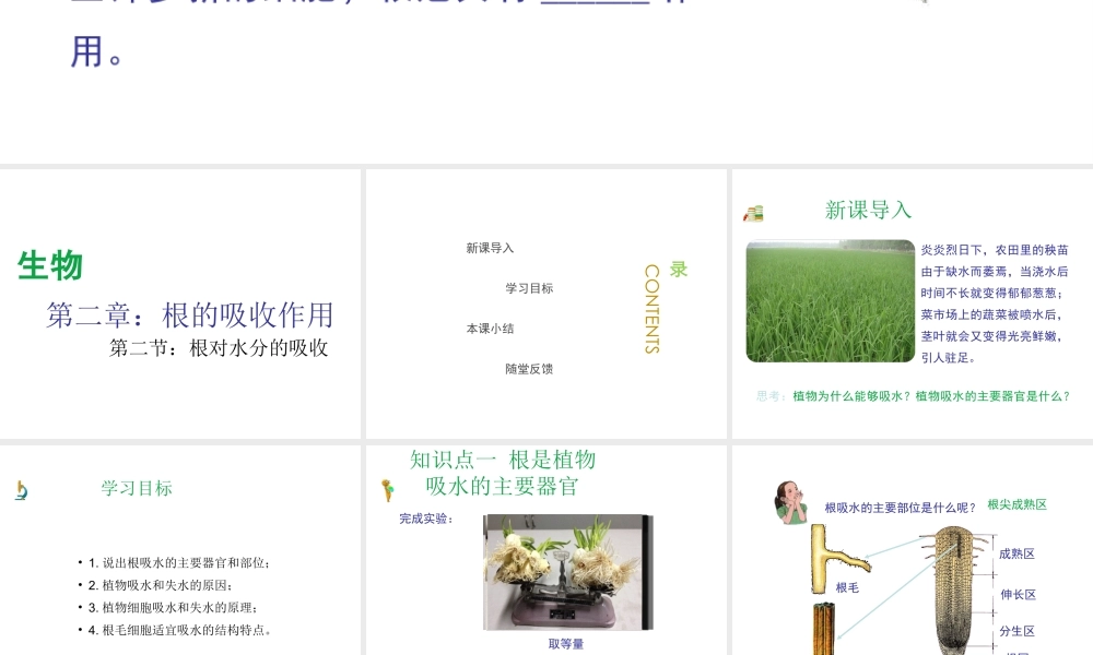 八年级生物上册 第三单元 第二章 第2节《根对水分的吸收》课件2 （新版）冀教版-（新版）冀教级上册生物课件