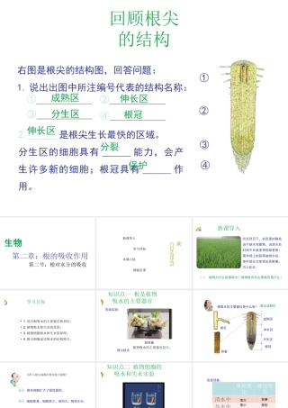 八年级生物上册 第三单元 第二章 第2节《根对水分的吸收》课件2 （新版）冀教版-（新版）冀教级上册生物课件