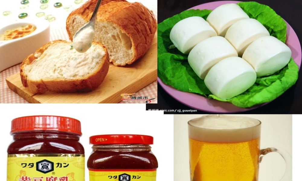 八年级生物上册 第5单元 第3章 第1节 发酵食品的制作课件 （新版）冀教版-（新版）冀教版初中八年级上册生物课件