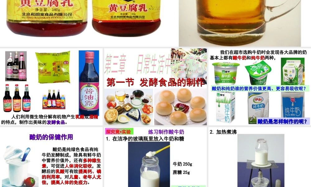 八年级生物上册 第5单元 第3章 第1节 发酵食品的制作课件 （新版）冀教版-（新版）冀教版初中八年级上册生物课件