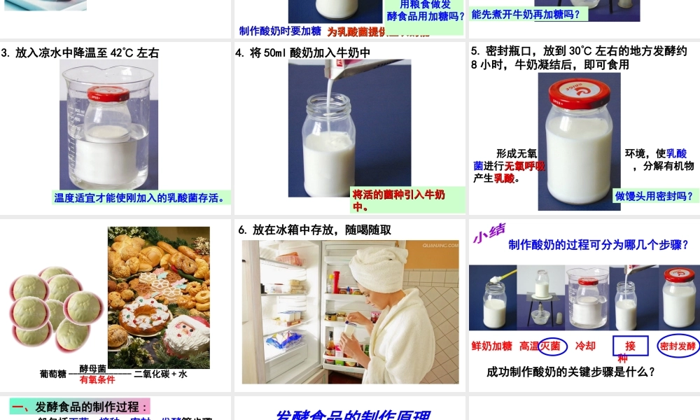 八年级生物上册 第5单元 第3章 第1节 发酵食品的制作课件 （新版）冀教版-（新版）冀教版初中八年级上册生物课件