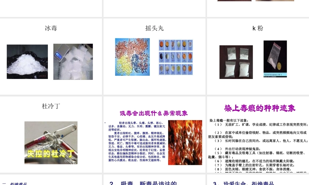 八年级生物上册 第七单元 第十九章 第二节 拒绝毒品课件 苏教版