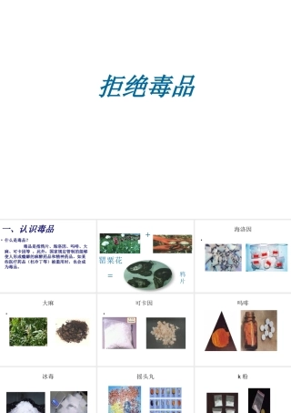 八年级生物上册 第七单元 第十九章 第二节 拒绝毒品课件 苏教版