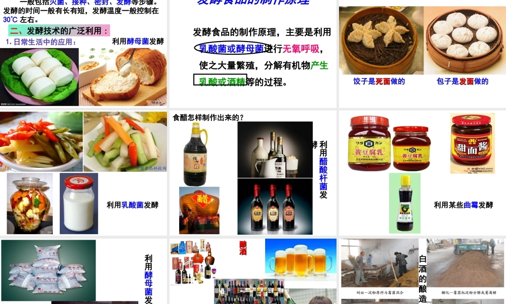 八年级生物上册 第5单元 第3章 第1节 发酵食品的制作课件 （新版）冀教版-（新版）冀教级上册生物课件