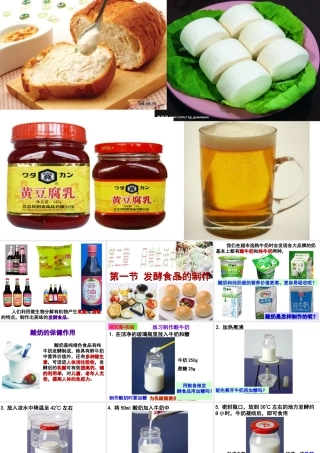 八年级生物上册 第5单元 第3章 第1节 发酵食品的制作课件 （新版）冀教版-（新版）冀教级上册生物课件
