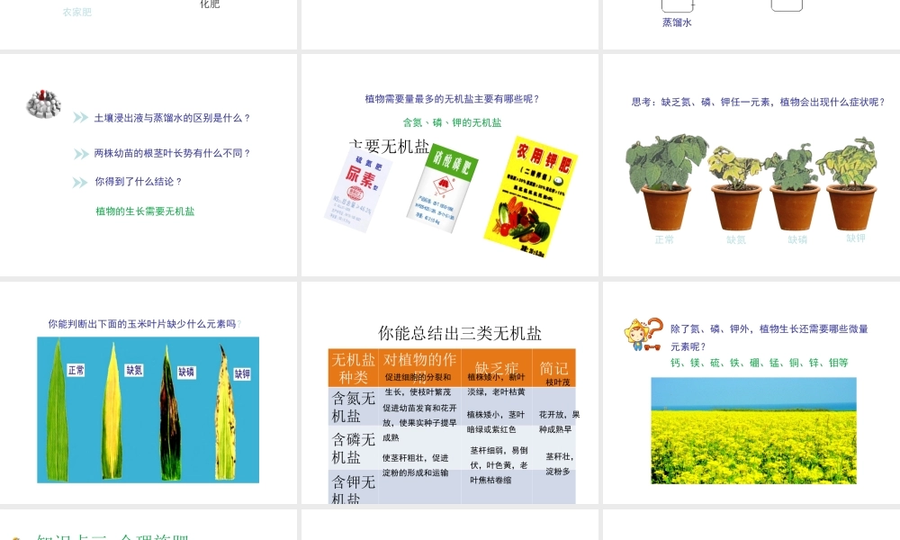 八年级生物上册 第三单元 第二章 第3节《无机盐和植物的生长》课件1 （新版）冀教版-（新版）冀教版初中八年级上册生物课件