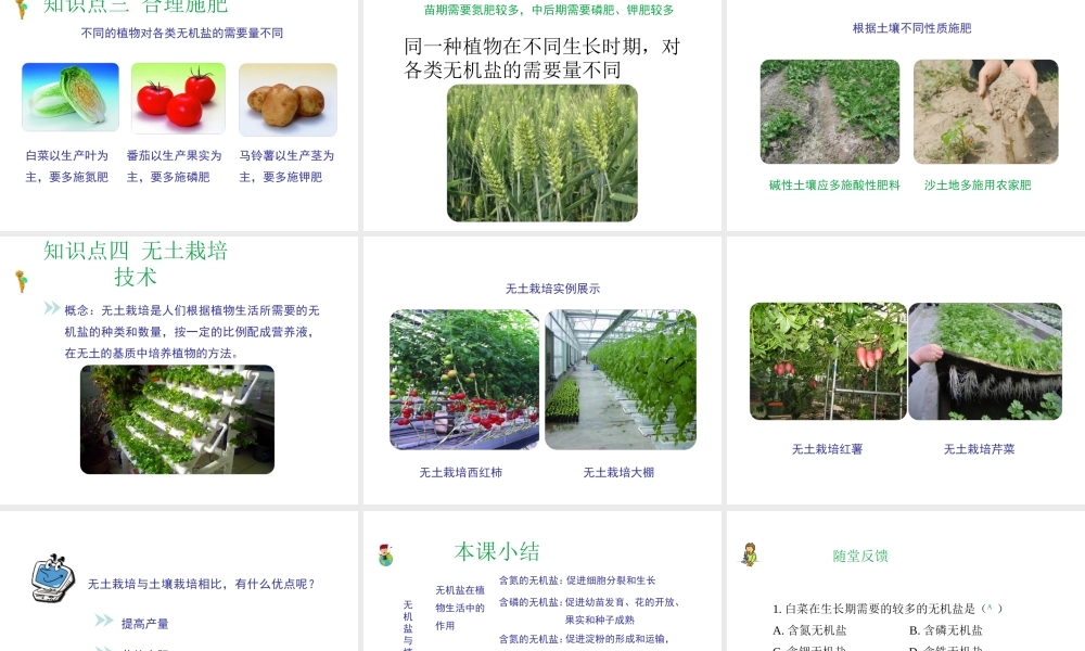 八年级生物上册 第三单元 第二章 第3节《无机盐和植物的生长》课件1 （新版）冀教版-（新版）冀教版初中八年级上册生物课件