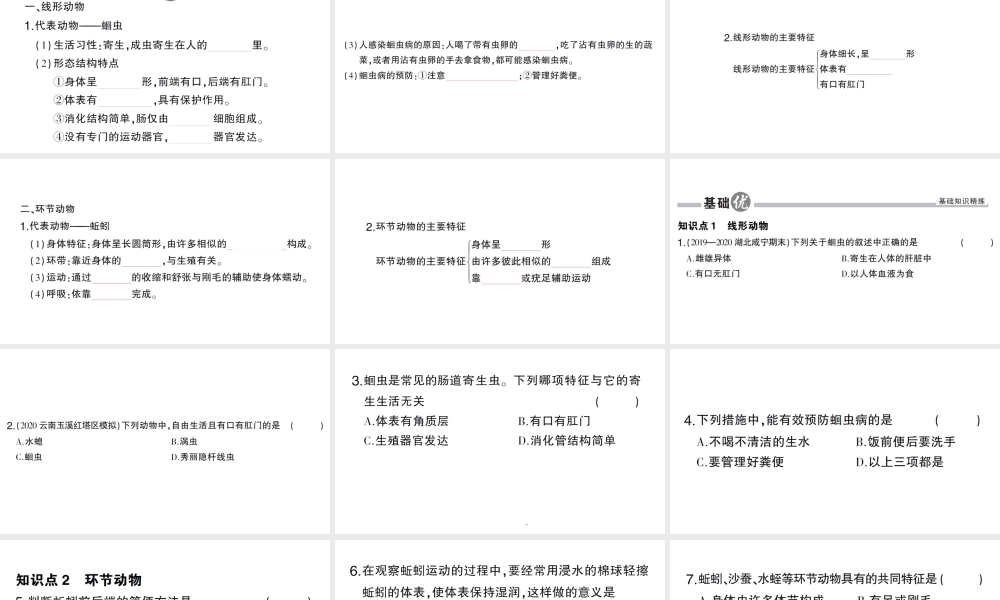 八年级生物上册 第五单元 第一章 第二节 线形动物和环节动物作业课件 （新版）新人教版-（新版）新人教级上册生物课件