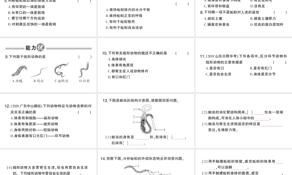 八年级生物上册 第五单元 第一章 第二节 线形动物和环节动物作业课件 （新版）新人教版-（新版）新人教级上册生物课件