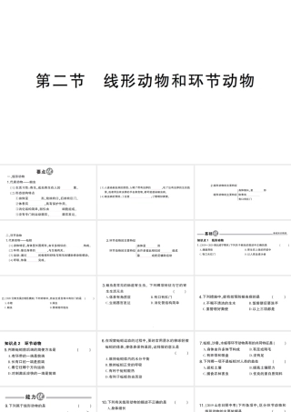 八年级生物上册 第五单元 第一章 第二节 线形动物和环节动物作业课件 （新版）新人教版-（新版）新人教级上册生物课件