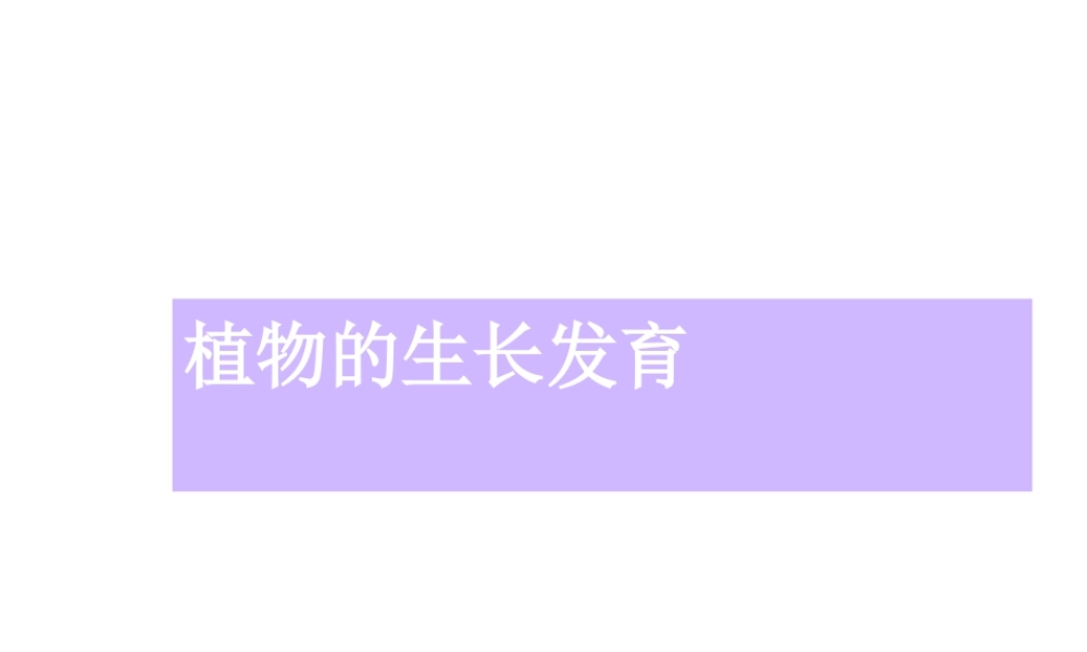 八年级生物上册 第七单元 第十九章 第二节 植物的生长发育课件 苏科版