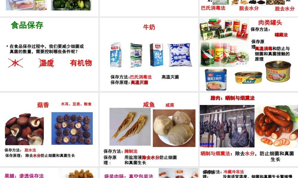 八年级生物上册 第5单元 第3章 第2节 食物保存技术课件 （新版）冀教版-（新版）冀教版初中八年级上册生物课件