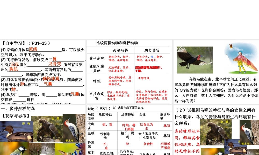 八年级生物上册 第五单元 第一章 第六节 鸟教学课件 （新版）新人教版-（新版）新人教版初中八年级上册生物课件