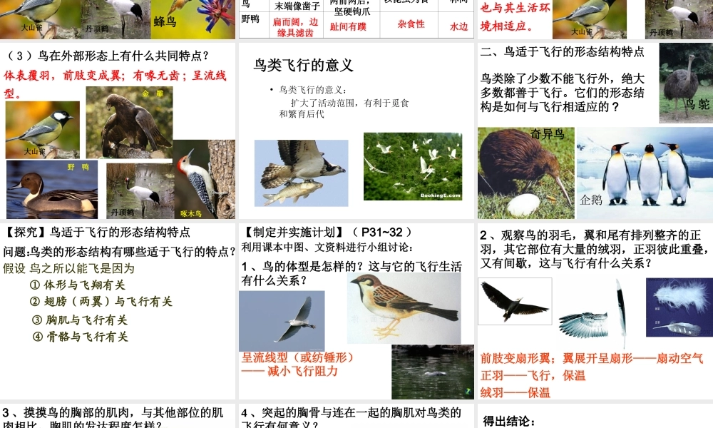 八年级生物上册 第五单元 第一章 第六节 鸟教学课件 （新版）新人教版-（新版）新人教版初中八年级上册生物课件