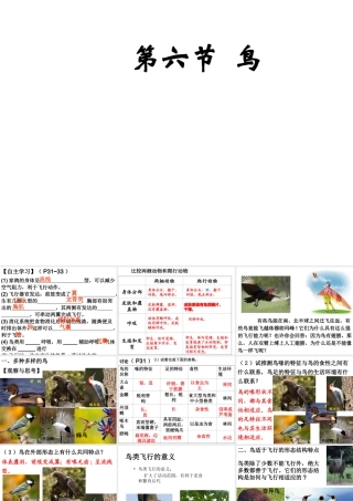 八年级生物上册 第五单元 第一章 第六节 鸟教学课件 （新版）新人教版-（新版）新人教版初中八年级上册生物课件