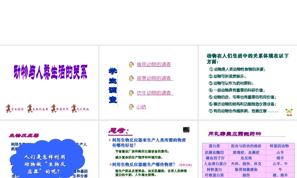 八年级生物上册 第5单元 第3章 动物在生物圈中的作用 第二节 动物与人类生活的关系课件 新人教版