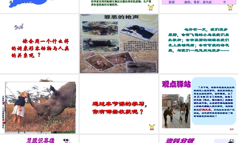 八年级生物上册 第5单元 第3章 动物在生物圈中的作用 第二节 动物与人类生活的关系课件 新人教版