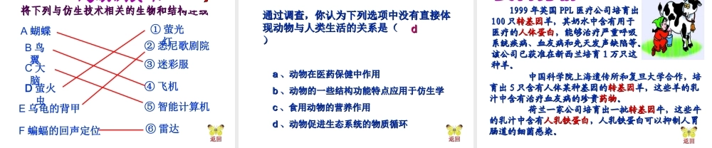 八年级生物上册 第5单元 第3章 动物在生物圈中的作用 第二节 动物与人类生活的关系课件 新人教版