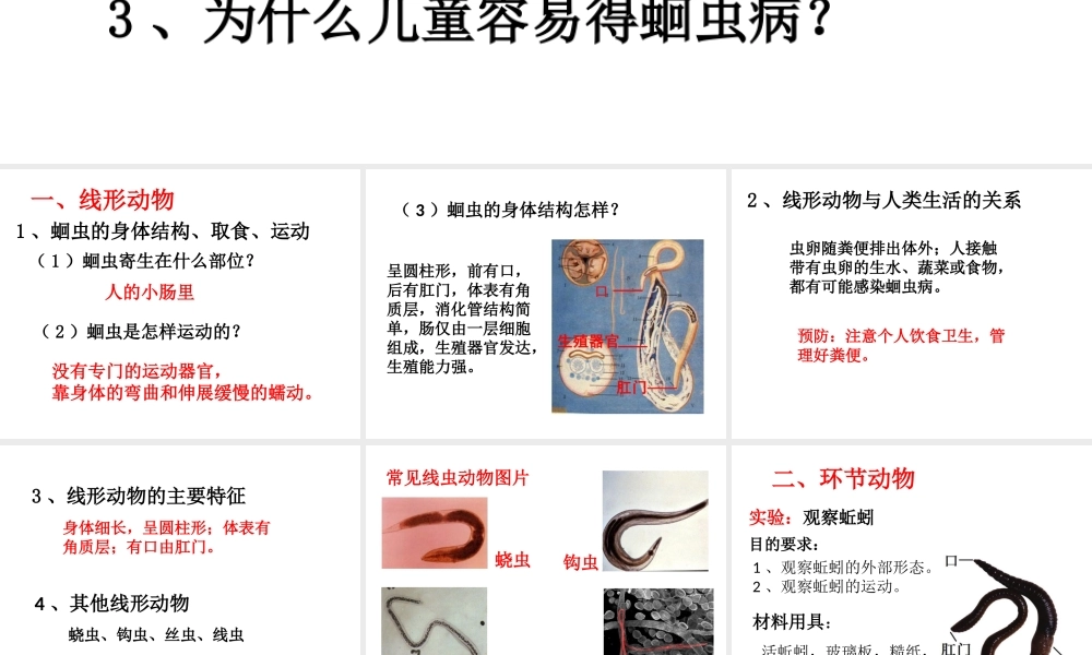 八年级生物上册 第七单元 第一章 第二节 线形动物和环节动物课件 鲁科版五四制-鲁科版初中八年级上册生物课件