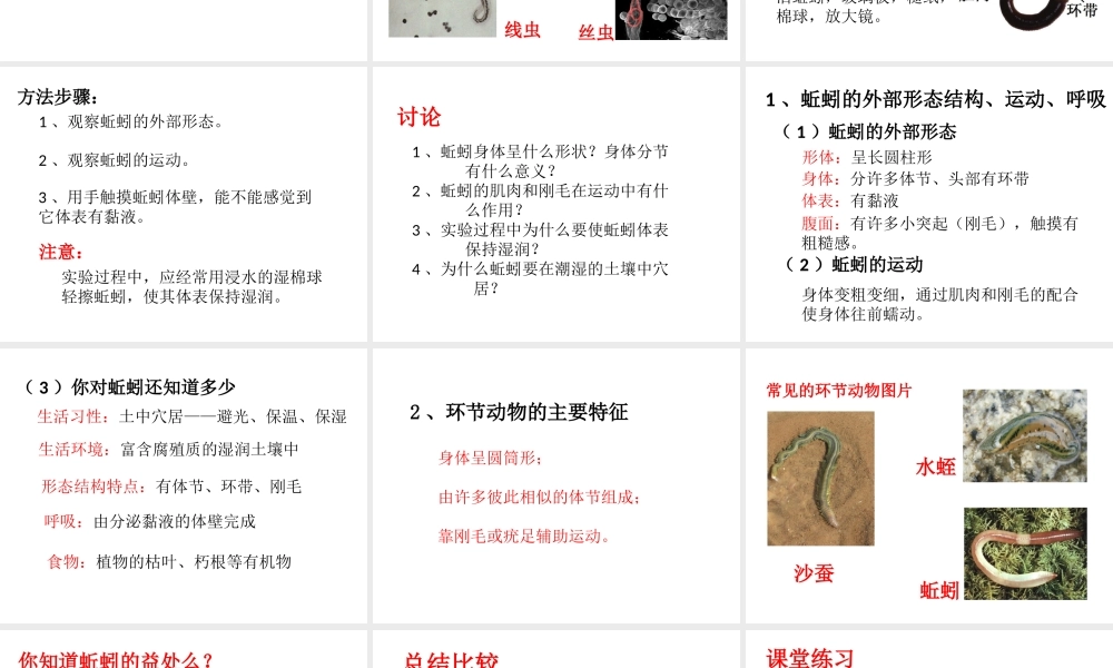 八年级生物上册 第七单元 第一章 第二节 线形动物和环节动物课件 鲁科版五四制-鲁科版初中八年级上册生物课件