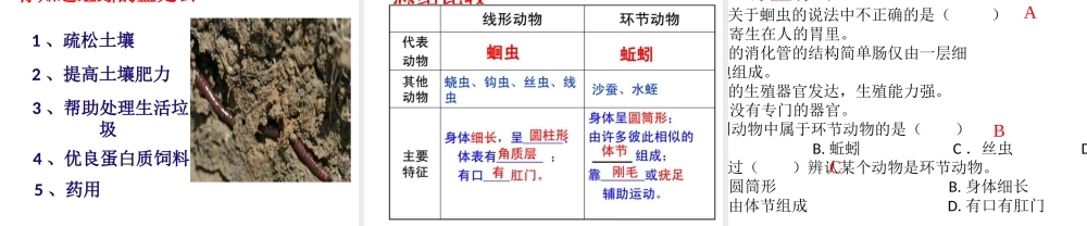 八年级生物上册 第七单元 第一章 第二节 线形动物和环节动物课件 鲁科版五四制-鲁科版初中八年级上册生物课件