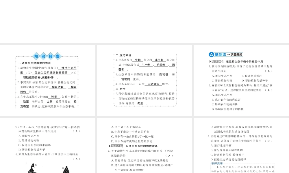 八年级生物上册 第五单元 第3章 动物在生物圈中的作用习题课件 （新版）新人教版-（新版）新人教级上册生物课件